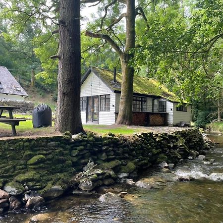 Cuckoo Cabin, Tyn Y Cwm Eglwys-Fach Eksteriør bilde